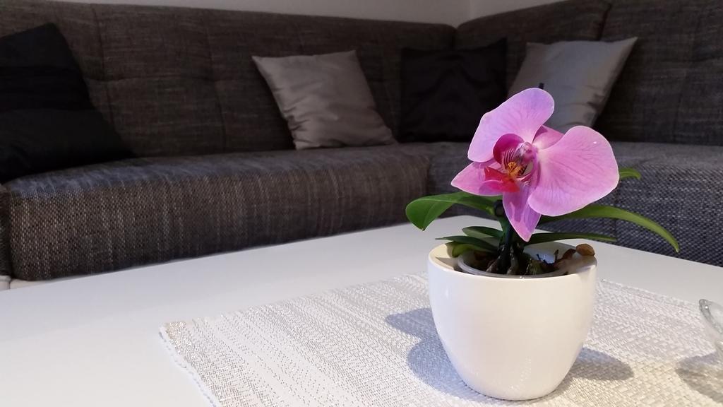 Apartments Sanja トロギール エクステリア 写真
